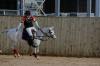 Oxford Polo 2023_01_08 0062